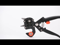 Innesto delle forbici